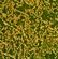 Laboratory Metallurgical Microscope