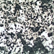 Laboratory Metallurgical Microscope